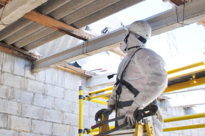 Asbestos Survey