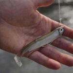 The Role of Metal Baits in Modern Fishing