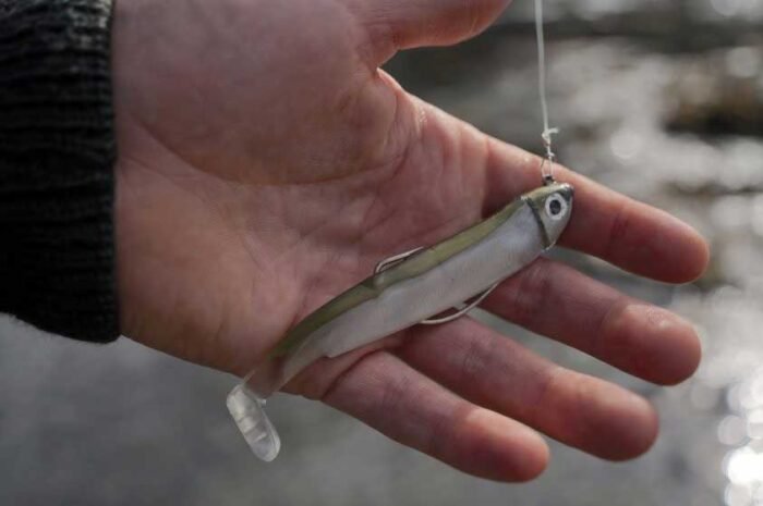The Role of Metal Baits in Modern Fishing